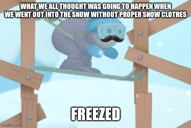 WHAT WE ALL THOUGHT WAS GOING TO HAPPEN WHEN WE WENT OUT INTO THE SNOW WITHOUT PROPER SNOW CLOTHES; FREEZED | made w/ Imgflip meme maker