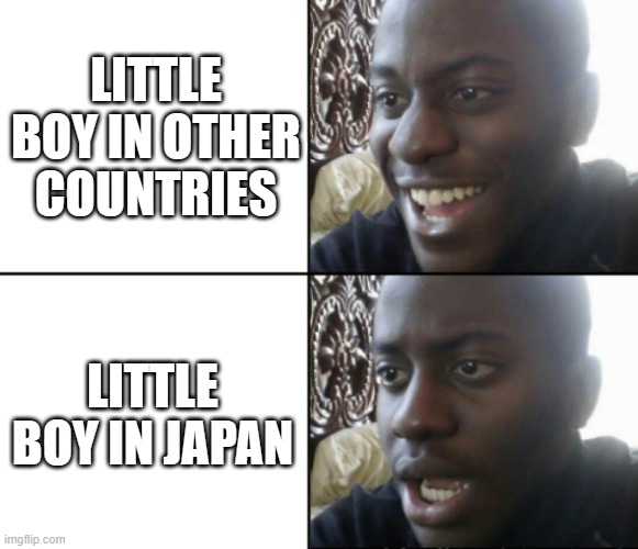 Happy / Shock | LITTLE BOY IN OTHER COUNTRIES; LITTLE BOY IN JAPAN | image tagged in happy / shock | made w/ Imgflip meme maker