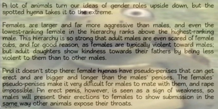 (Jk : peen society) | made w/ Imgflip meme maker