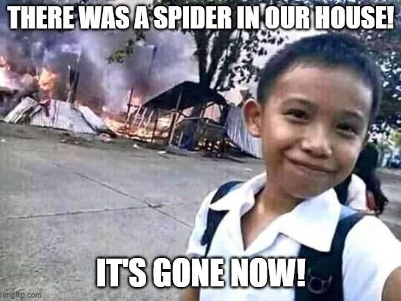 There was a spider! It's gone now! | THERE WAS A SPIDER IN OUR HOUSE! IT'S GONE NOW! | image tagged in disaster boy,disaster,memes,funny memes,lol so funny,lmao | made w/ Imgflip meme maker