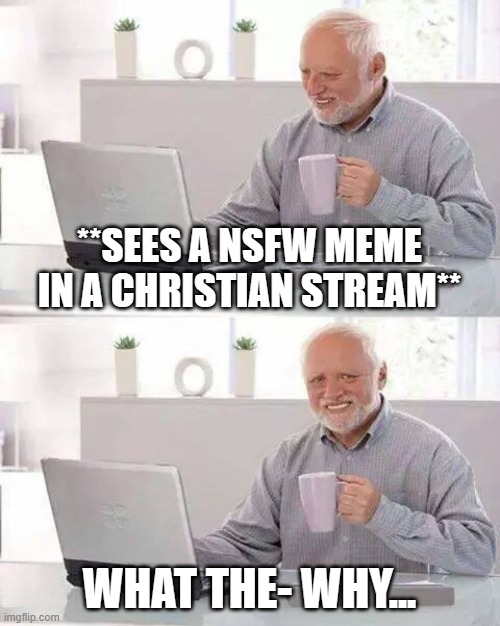 Seriously tho, why... -_- | **SEES A NSFW MEME IN A CHRISTIAN STREAM**; WHAT THE- WHY... | image tagged in memes,hide the pain harold | made w/ Imgflip meme maker