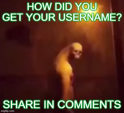 Your IP Address Is On The Internet | HOW DID YOU GET YOUR USERNAME? SHARE IN COMMENTS | image tagged in your ip address is on the internet | made w/ Imgflip meme maker