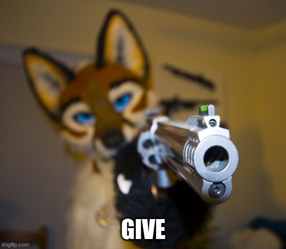 Furry with gun | GIVE | image tagged in furry with gun | made w/ Imgflip meme maker