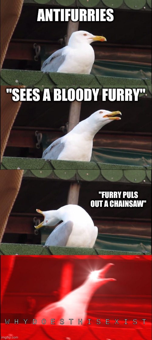 Inhaling Seagull | ANTIFURRIES; "SEES A BLO0DY FURRY"; "FURRY PULS OUT A CHAINSAW"; W H Y D O E S T H I S E X I S T | image tagged in memes,inhaling seagull | made w/ Imgflip meme maker