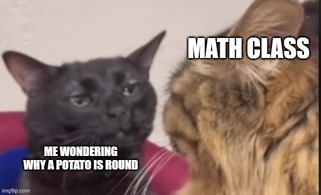 math class is so boring | MATH CLASS; ME WONDERING WHY A POTATO IS ROUND | image tagged in black cat zoning out,school memes,cats | made w/ Imgflip meme maker
