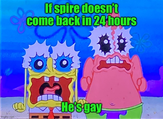 Scare spongboob and patrichard | If spire doesn’t come back in 24 hours; He’s gay | image tagged in scare spongboob and patrichard | made w/ Imgflip meme maker