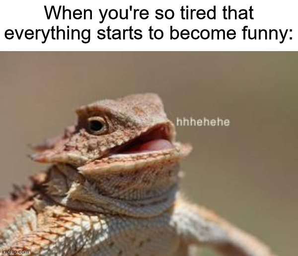I do this a lot ~(￣▽￣)~* | When you're so tired that everything starts to become funny: | image tagged in memes,funny,true story,relatable memes,tired,funny memes | made w/ Imgflip meme maker