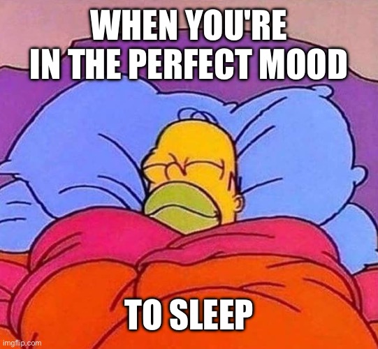 Homer Simpson sleeping peacefully | WHEN YOU'RE IN THE PERFECT MOOD; TO SLEEP | image tagged in homer simpson sleeping peacefully | made w/ Imgflip meme maker