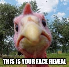 turkey | THIS IS YOUR FACE REVEAL | image tagged in turkey | made w/ Imgflip meme maker