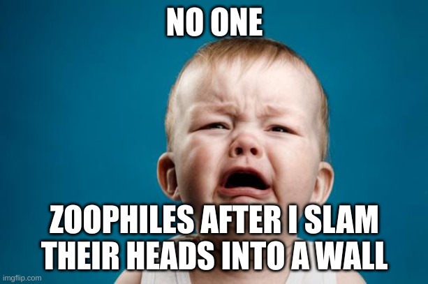 BABY CRYING | NO ONE ZOOPHILES AFTER I SLAM THEIR HEADS INTO A WALL | image tagged in baby crying | made w/ Imgflip meme maker