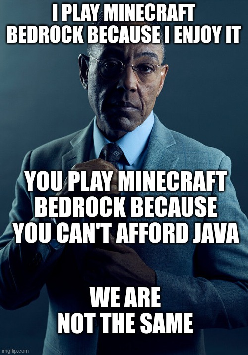 which do you like? | I PLAY MINECRAFT BEDROCK BECAUSE I ENJOY IT; YOU PLAY MINECRAFT BEDROCK BECAUSE YOU CAN'T AFFORD JAVA; WE ARE NOT THE SAME | image tagged in gus fring we are not the same | made w/ Imgflip meme maker