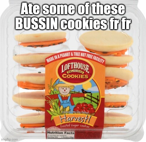 My mouth is being constantly refilled with saliva due to the aftertaste yum | Ate some of these BUSSIN cookies fr fr | made w/ Imgflip meme maker