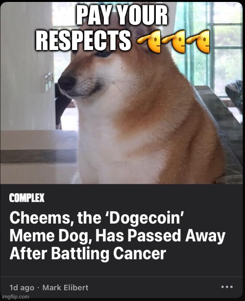 A legend gone… | PAY YOUR RESPECTS 🫡🫡🫡 | image tagged in cheems,doge | made w/ Imgflip meme maker