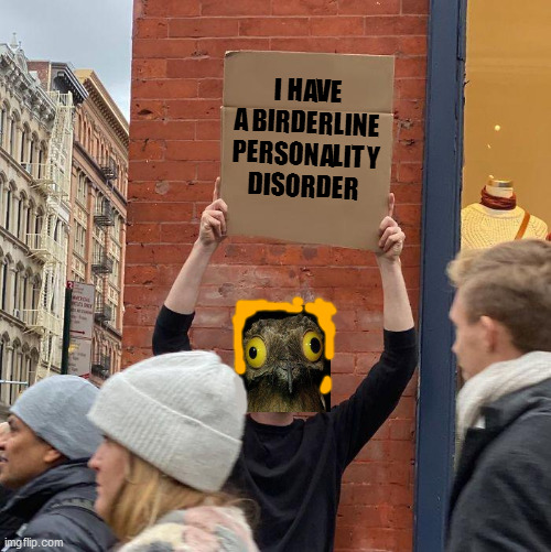 I HAVE A BIRDERLINE PERSONALITY DISORDER | image tagged in guy holding cardboard sign | made w/ Imgflip meme maker