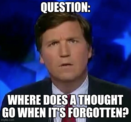 Thought-provoking questions#2 | QUESTION:; WHERE DOES A THOUGHT GO WHEN IT'S FORGOTTEN? | image tagged in confused tucker carlson,funny,meme,question | made w/ Imgflip meme maker