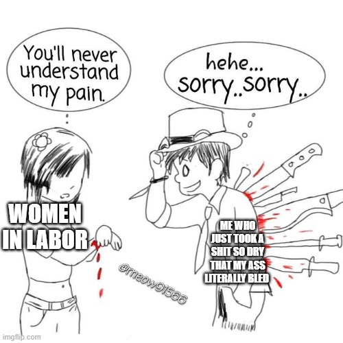 You'll never understand my pain | ME WHO JUST TOOK A SHIT SO DRY THAT MY ASS LITERALLY BLED; WOMEN IN LABOR | image tagged in you'll never understand my pain | made w/ Imgflip meme maker