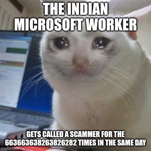 I feel bad | THE INDIAN MICROSOFT WORKER; GETS CALLED A SCAMMER FOR THE 663663638263826282 TIMES IN THE SAME DAY | image tagged in crying cat | made w/ Imgflip meme maker