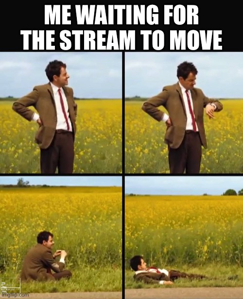 Mr bean waiting | ME WAITING FOR THE STREAM TO MOVE | image tagged in mr bean waiting | made w/ Imgflip meme maker