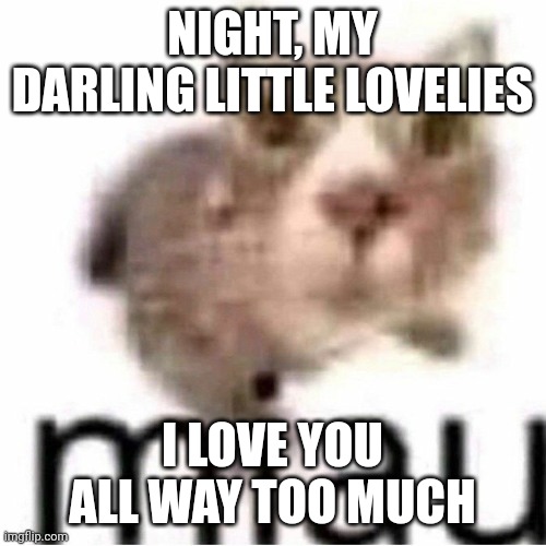 You guys, gals, and others did way better than yesterday | NIGHT, MY DARLING LITTLE LOVELIES; I LOVE YOU ALL WAY TOO MUCH | image tagged in miau,lovelies | made w/ Imgflip meme maker