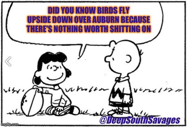 Charlie Brown football | DID YOU KNOW BIRDS FLY UPSIDE DOWN OVER AUBURN BECAUSE THERE'S NOTHING WORTH SHITTING ON; @DeepSouthSavages | image tagged in charlie brown football | made w/ Imgflip meme maker