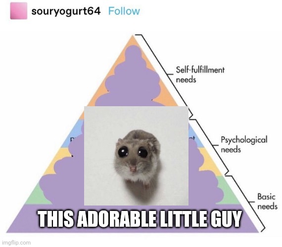 Everyone needs this little guy | THIS ADORABLE LITTLE GUY | image tagged in needs pyramid,wholesome content | made w/ Imgflip meme maker