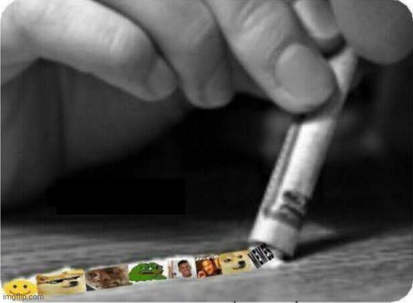 Meme Snort | image tagged in meme snort | made w/ Imgflip meme maker