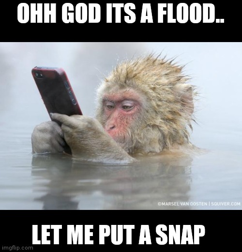 monkey mobile phone | OHH GOD ITS A FLOOD.. LET ME PUT A SNAP | image tagged in monkey mobile phone,mobile,girls,status | made w/ Imgflip meme maker