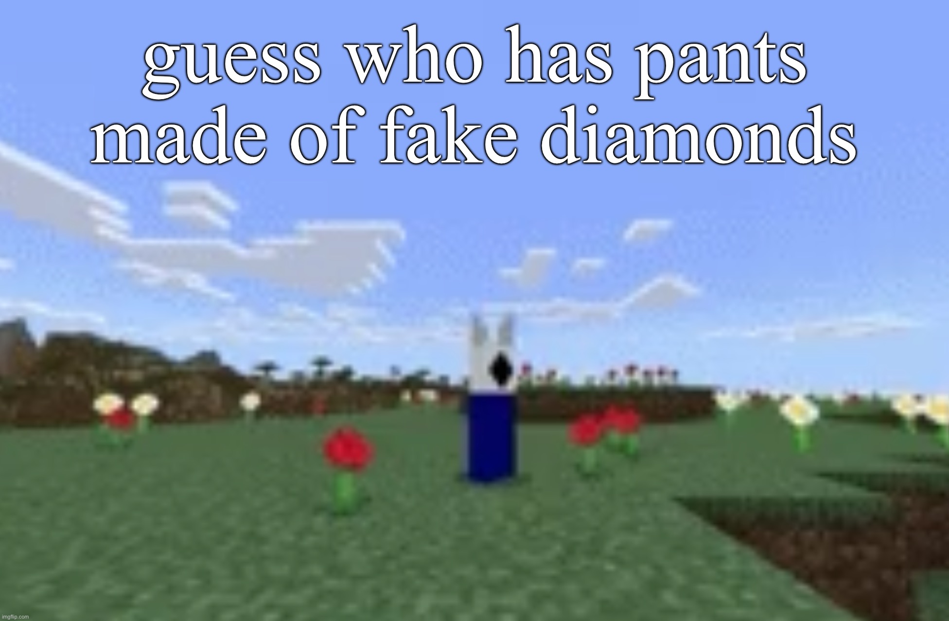 swssgsahadessdwdmMienHSJWNCWRAFFTFDDRTRD | guess who has pants made of fake diamonds | image tagged in swssgsahadessdwdmmienhsjwncwrafftfddrtrd | made w/ Imgflip meme maker