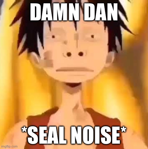 Idek any more | DAMN DAN; *SEAL NOISE* | image tagged in luffy two big nose | made w/ Imgflip meme maker