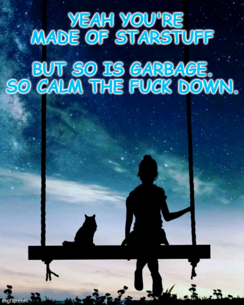 Starstuff Quote Sagan | YEAH YOU'RE MADE OF STARSTUFF; BUT SO IS GARBAGE. SO CALM THE FUCK DOWN. | image tagged in starstuff | made w/ Imgflip meme maker