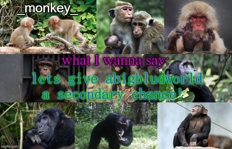 _Monkey_ Announcement temp | lets give abigbludworld a secondary chance! | image tagged in _monkey_ announcement temp | made w/ Imgflip meme maker