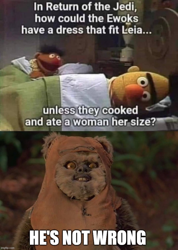 HE'S NOT WRONG | image tagged in demeted ewok | made w/ Imgflip meme maker
