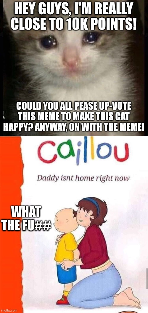WTF CAILLOU | HEY GUYS, I'M REALLY CLOSE TO 10K POINTS! COULD YOU ALL PEASE UP-VOTE THIS MEME TO MAKE THIS CAT HAPPY? ANYWAY, ON WITH THE MEME! WHAT THE FU## | image tagged in funny,wtf | made w/ Imgflip meme maker