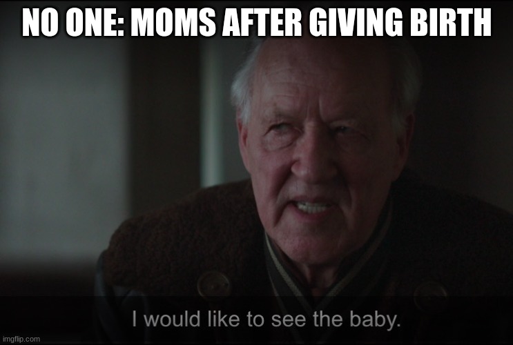 i would like to see the baby | NO ONE: MOMS AFTER GIVING BIRTH | image tagged in i would like to see the baby | made w/ Imgflip meme maker