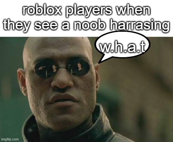 what the hell happend here | w.h.a.t; roblox players when they see a noob harrasing | image tagged in memes,matrix morpheus,no,oh wow are you actually reading these tags,why are you reading this,roblox meme | made w/ Imgflip meme maker
