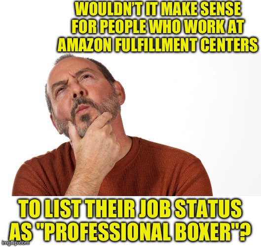 Hmm | WOULDN’T IT MAKE SENSE FOR PEOPLE WHO WORK AT AMAZON FULFILLMENT CENTERS; TO LIST THEIR JOB STATUS AS "PROFESSIONAL BOXER"? | image tagged in hmmm | made w/ Imgflip meme maker