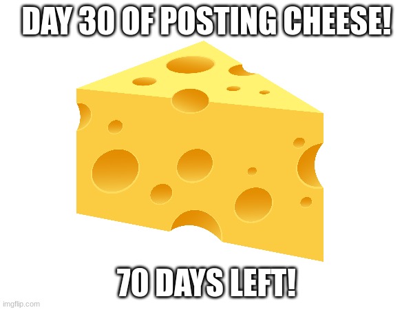 Day 30 of CHEESE | DAY 30 OF POSTING CHEESE! 70 DAYS LEFT! | made w/ Imgflip meme maker