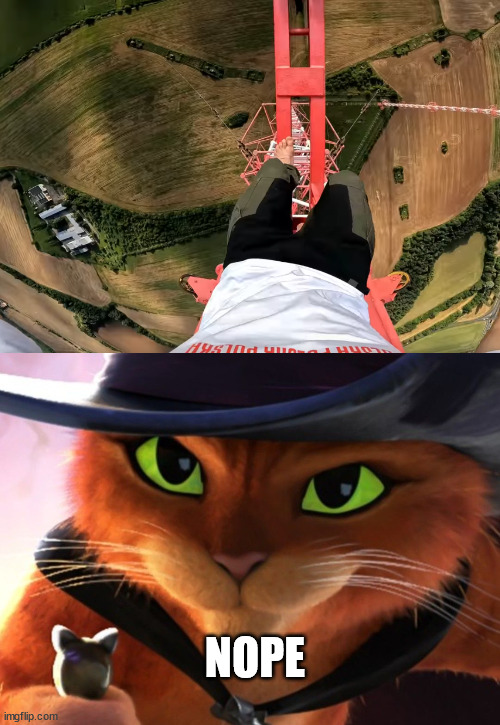 My fear of heights | NOPE | image tagged in latticeclimbing,pussinboots,fear,lattice,climber | made w/ Imgflip meme maker