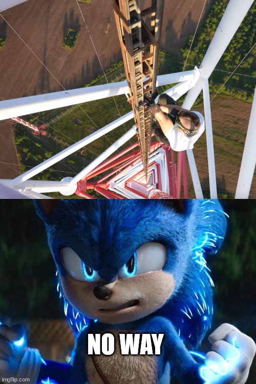 Fear of heights | NO WAY | image tagged in sonic lattice climbing,meme,sonic the hedgehog,sega,german | made w/ Imgflip meme maker