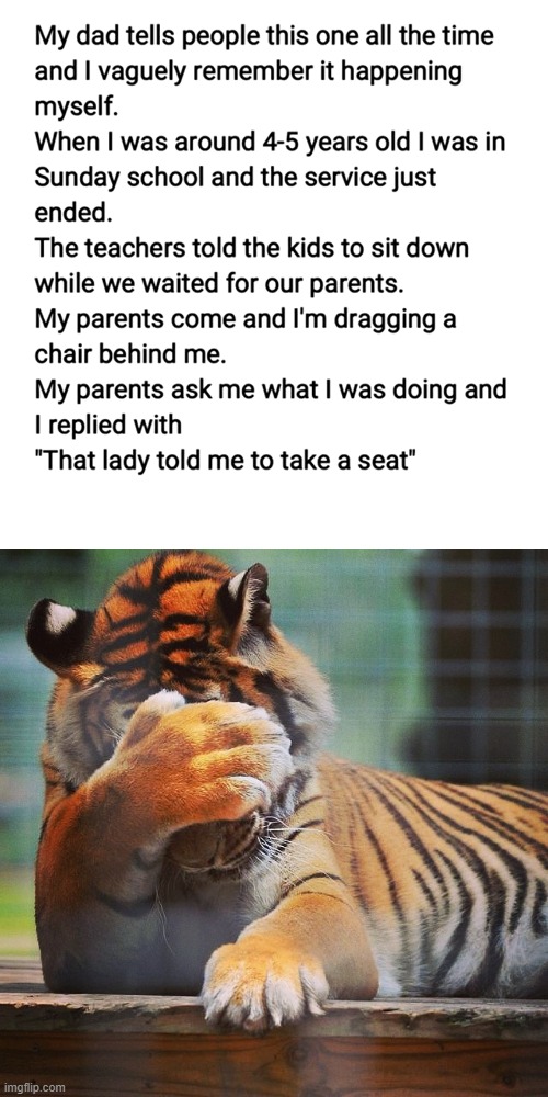 Facepalm Tiger | image tagged in facepalm tiger,sunday,school,service,take a seat,literally | made w/ Imgflip meme maker