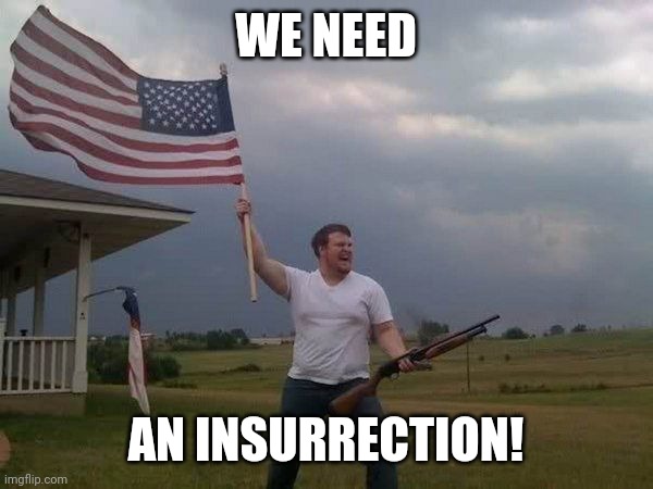 American flag shotgun guy | WE NEED AN INSURRECTION! | image tagged in american flag shotgun guy | made w/ Imgflip meme maker