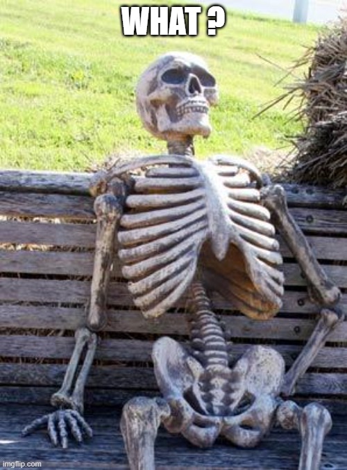 Waiting Skeleton Meme | WHAT ? | image tagged in memes,waiting skeleton | made w/ Imgflip meme maker