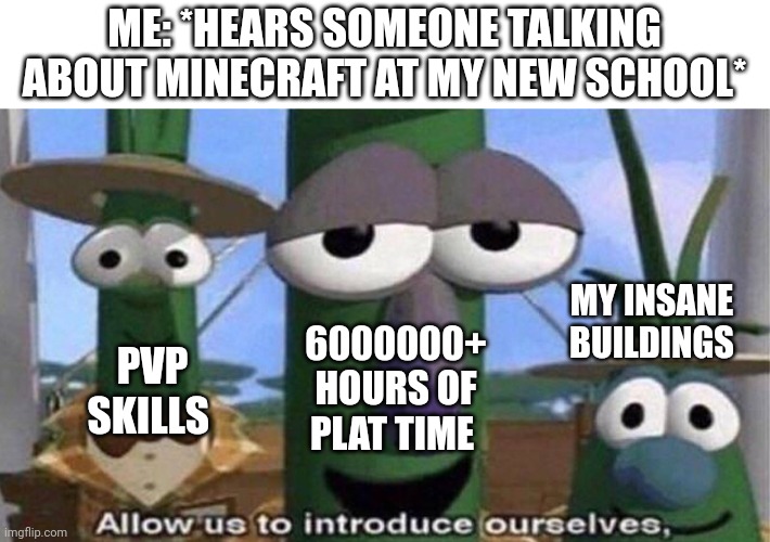 Pro Minecraft | ME: *HEARS SOMEONE TALKING ABOUT MINECRAFT AT MY NEW SCHOOL*; MY INSANE
BUILDINGS; 6000000+
HOURS OF
PLAT TIME; PVP SKILLS | image tagged in veggietales 'allow us to introduce ourselfs',minecraft,funny | made w/ Imgflip meme maker
