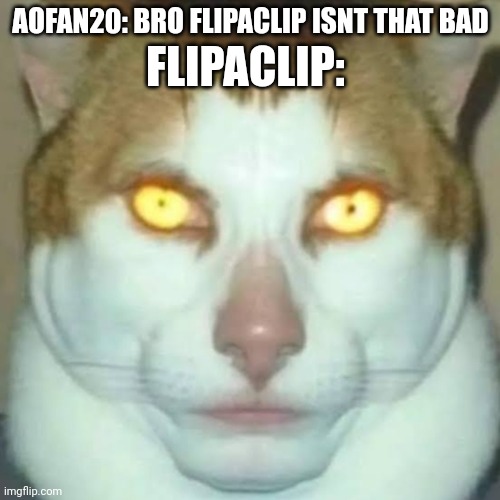 Misinternet slander 14 the Giga cat | FLIPACLIP:; AOFAN20: BRO FLIPACLIP ISNT THAT BAD | image tagged in sigma cat | made w/ Imgflip meme maker