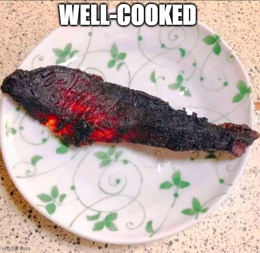 burnt steak | WELL-COOKED | image tagged in burnt steak | made w/ Imgflip meme maker