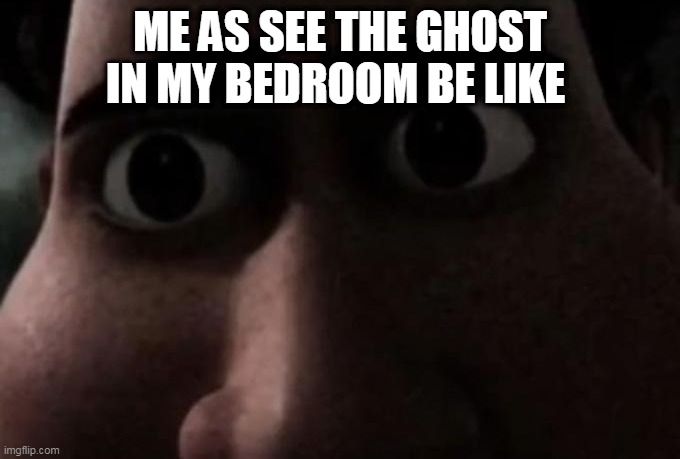 See the Ghost In my Bedroom | ME AS SEE THE GHOST IN MY BEDROOM BE LIKE | image tagged in titan stare | made w/ Imgflip meme maker