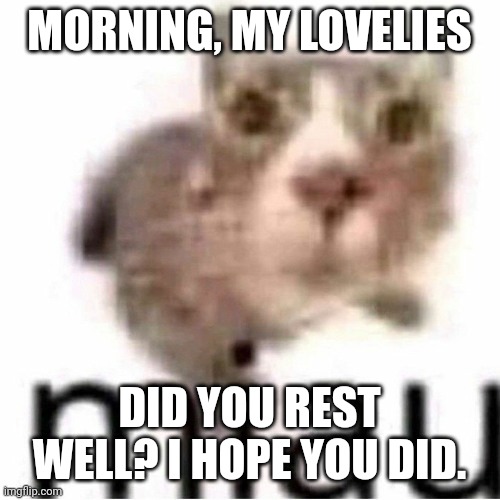 Don't forget that I love all of you too much | MORNING, MY LOVELIES; DID YOU REST WELL? I HOPE YOU DID. | image tagged in miau,lovelies,yandere momen | made w/ Imgflip meme maker