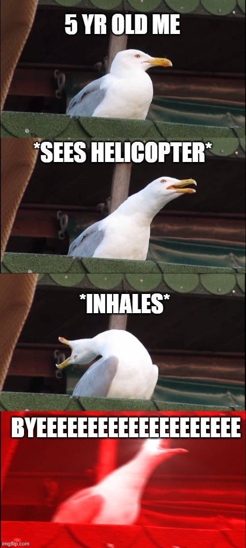 we can all relate to this | 5 YR OLD ME; *SEES HELICOPTER*; *INHALES*; BYEEEEEEEEEEEEEEEEEEEE | image tagged in memes,inhaling seagull | made w/ Imgflip meme maker