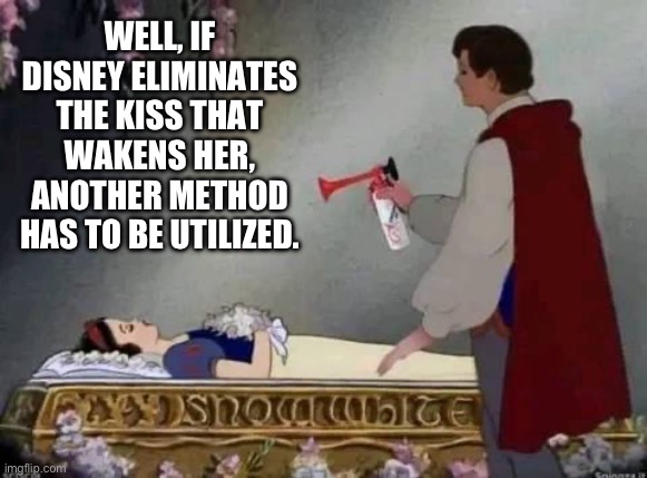 Disney Wokeness | WELL, IF DISNEY ELIMINATES THE KISS THAT WAKENS HER, ANOTHER METHOD HAS TO BE UTILIZED. | image tagged in woke | made w/ Imgflip meme maker