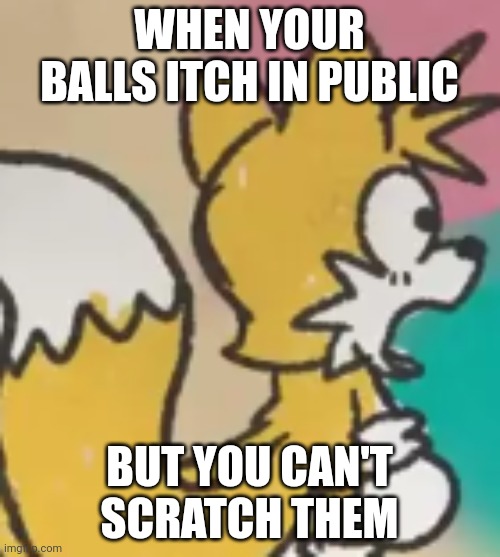 AI Generated meme | WHEN YOUR BALLS ITCH IN PUBLIC; BUT YOU CAN'T SCRATCH THEM | image tagged in tails shock | made w/ Imgflip meme maker